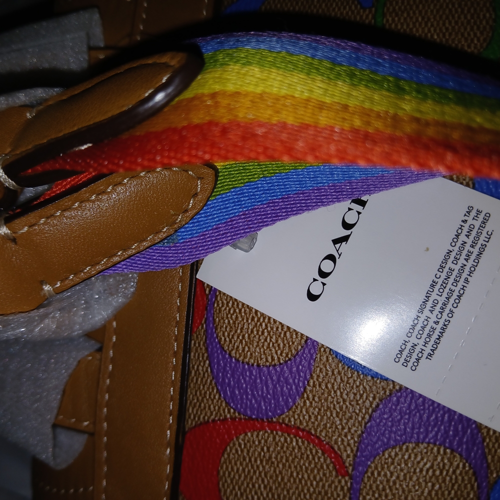 Coach Rainbow Mini Backpack - Picture 5 of 13